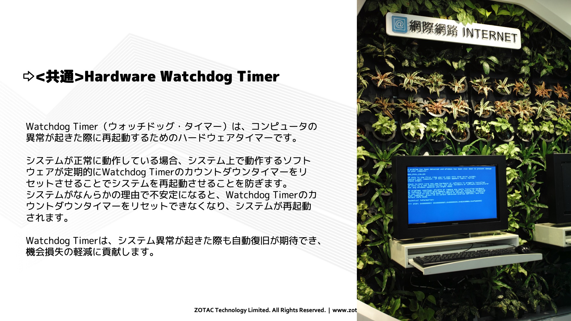 ZBOX PROシリーズ PI339 pico PLUS - 画像 (14)